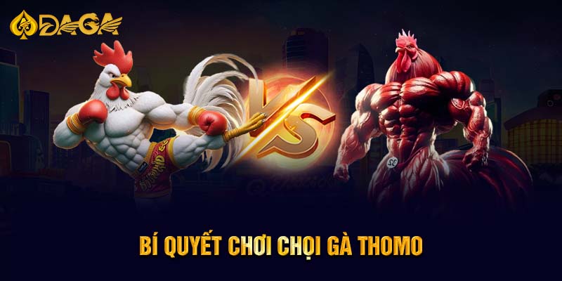 Bí quyết chơi chọi gà Thomo