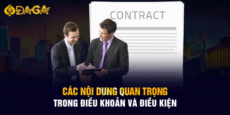 Các nội dung quan trọng trong điều khoản và điều kiện