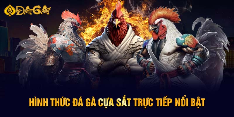 Hình thức đá gà cựa sắt trực tiếp nổi bật