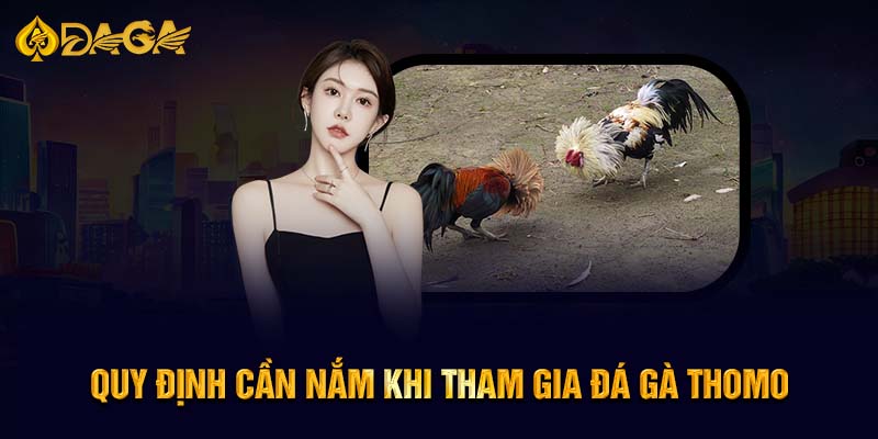 Quy định cần nắm khi tham gia đá gà Thomo